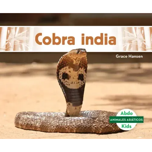 Cobra India (Indian Cobra)