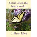 Social Life in the Insect World
