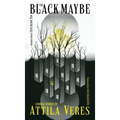The Black Maybe: Liminal Tales