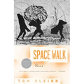 Space Walk
