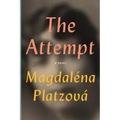 The Attempt