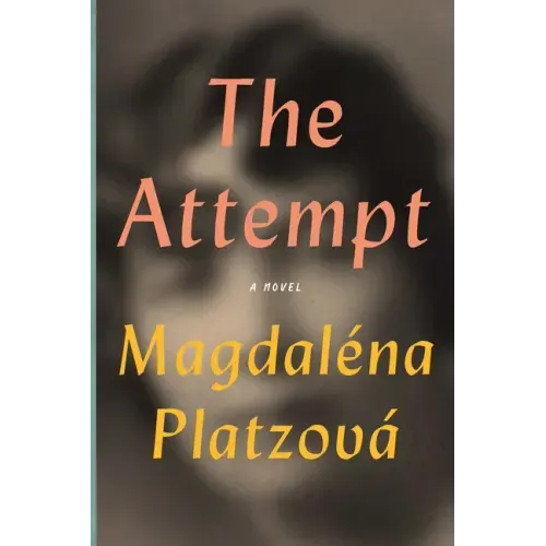 The Attempt