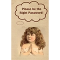 Please be the Right Password: Internet passwords, addresses and usernames, humorous cover with A-Z index