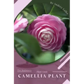 Camellia Plant: Prodigy Petal, Plant Guide