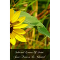 Selected Letters Of Saint Jane Frances De Chantal