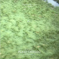 Jamaica Bay Reference Library REF 02: Jamaica Bay Plant Catalog