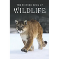 The Picture Book of Wildlife: A Gift Book for Alzheimer's Patients and Seniors with Dementia