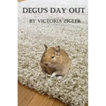 Degu's Day Out