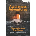 Awareness Adventures: Discovering Your True Nature