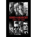Sons of Anarchy: Trivia Quiz Book