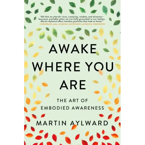 Awake Where You Are: The Art of Embodied Awareness