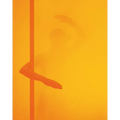 Armin Lorenz Gerold: Manuel or a Hint of Evil