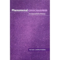 Phenomenal Consciousness: A Naturalistic Theory
