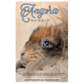 Angora Rabbit: The ultimate guide to caring for, grooming, and enjoying your fluffy fiber friend