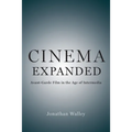 Cinema Expanded: Avant-Garde Film in the Age of Intermedia