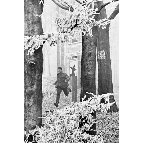 Muhammad Ali, Zurich, 26.12.1971