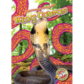 King Cobras
