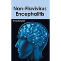 Non-Flavivirus Encephalitis