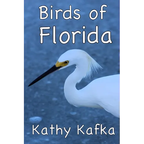 Birds of Florida