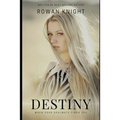 Destiny: When Your Soulmate Finds You