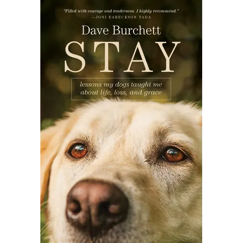 Stay: Lessons My Dogs Taught Me about Life, Loss, and Grace