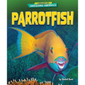 Parrotfish