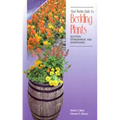 Your Florida Guide to Bedding Plants: Selection, Establishment, and Maintenance