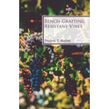 Bench-Grafting Resistant Vines