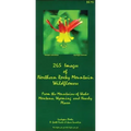 265 Images of Northern Rocky Mountains Wildflowers: From the Mountains of Idaho, Montana, Wyoming and Nearby Places
