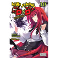 High School DXD, Vol. 10 (Light Novel): Lionheart of the Academy Festival Volume 10