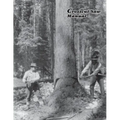 Crosscut Saw Manual