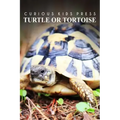 Turtle Or Tortoise - Curious Kids Press: Kids book about animals and wildlife, Children's books 4-6