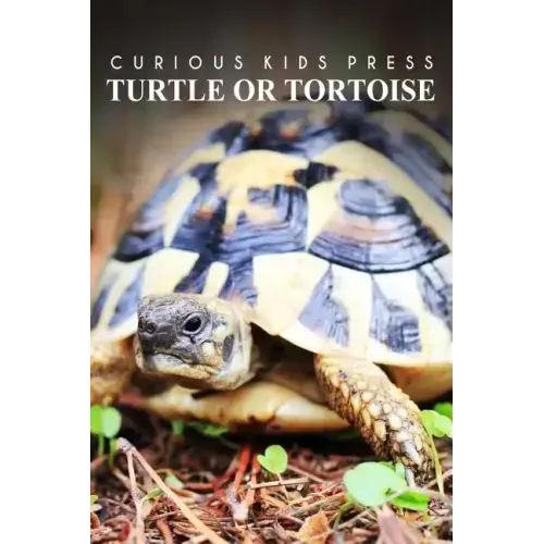 Turtle Or Tortoise - Curious Kids Press: Kids book about animals and wildlife, Children's books 4-6