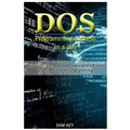 DOS Programming Success in a Day: Beginners Guide to Fast, Easy and Efficient Learning of DOS Programming