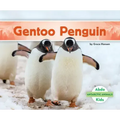 Gentoo Penguin