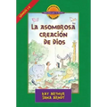 La Asombrosa Creación de Dios / God's Amazing Creation (D4y)