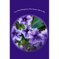 Lucy Maud Montgomery Short Stories, 1905 to 1906
