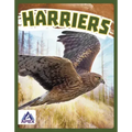Harriers