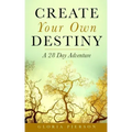Create Your Own Destiny: A 28 Day Adventure