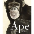 Ape
