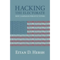 Hacking the Electorate
