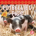 Potbellied Pigs