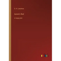 Aaron's Rod: in large print