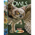 Owls