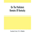 On The Prehistoric Remains Of Kentucky