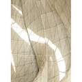 Embodied Light: The Bahá'í Temple of South America