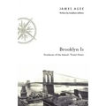 Brooklyn Is: Southeast of the Island: Travel Notes