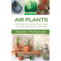 Air Plants: Everything You Need to Know About Growing, and Caring for Tillandsias