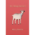 On Imagination