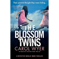 The Blossom Twins: An absolutely gripping crime thriller